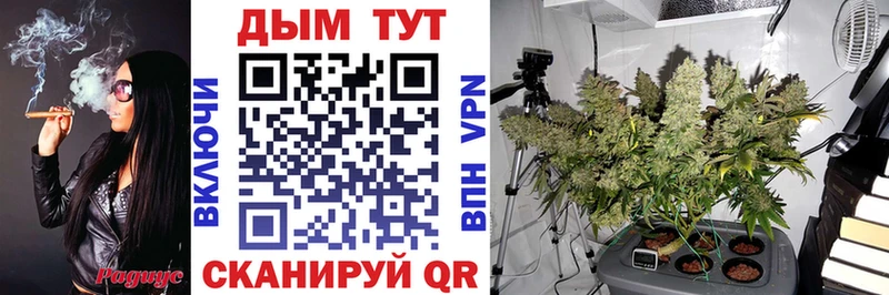 Канабис семена  Балабаново 